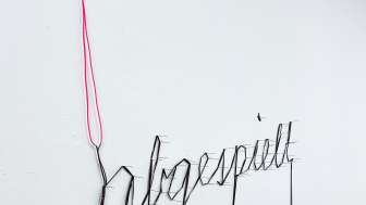 Sthalle Ausstellung Maja Roncoroni Bild André Bless 2