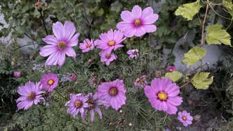 Zukünfte schreiben - Labor für neue Welten