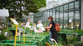 Setzlingsmarkt2023 0015