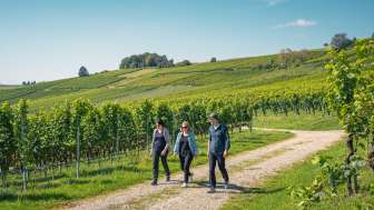 2024, Schaffhausen, Schweiz Tourismus, Thurgau