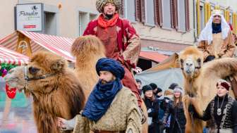 Die Heiligen Drei Könige auf ihren Kamelen