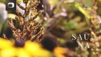 Saunasamstag Lichtermeer | Wellness & Aufgüsse in Sulgen