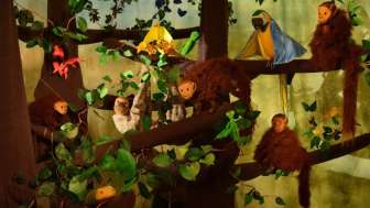 Mit Tom durch den Urwald Mit Tom durch den Urwald