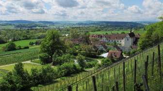 Öffentliche Führung: Wein und Wohlstand im Fokus