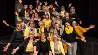 Konzert singNOW