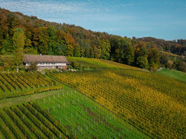 Weinweg in Weinfelden