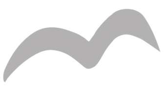 Taube für Pfarreianlaesse die kein anderes foto haben