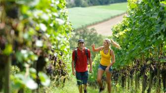 Weinweg Weinfelden
