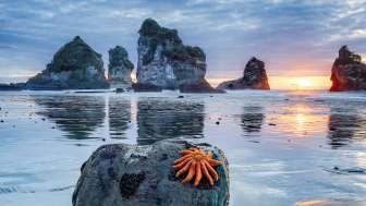 1756136267739KJ Okt25 Mrz26 630x300px S110[1]