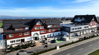 Die Seemöwe