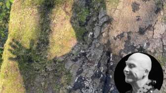 Simon Weiland: Im Wald