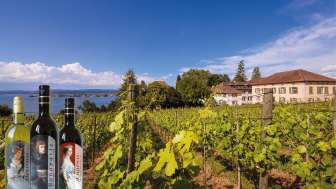 Weinerlebnis am Arenenberg