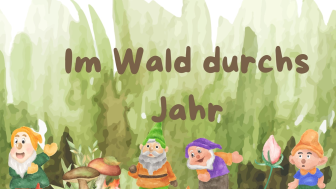 Wald durchs Jahr