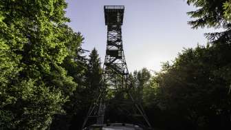 Stählibuckturm Stählibuckturm