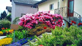 Privatzimmer Elsy Langenegger