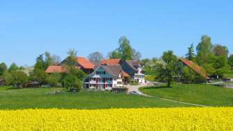 Bed & Breakfast Entetswil