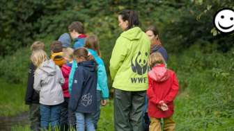 Fluss frei für den Lachs