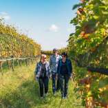 2024, Thurgau, Schweiz Tourismus, Schaffhausen