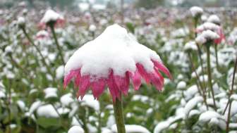 Wintertag "geschützt durch die kalte Jahreszeit"