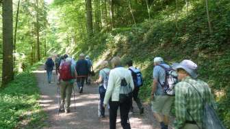 Wanderung Güttinger Eichwald (SENIOR MACH MIT)