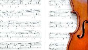 AdobeStock 217609708