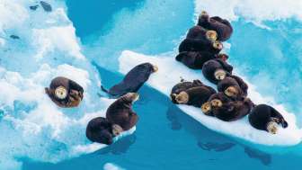 1756118603486KJ Okt25 Mrz26 630x300px S46[1]