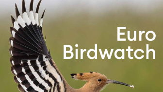EuroBirdwatch - Faszination Vogelzug
