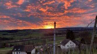 A64625b8 4015 4b95 8b1d 92bb11dbe74d