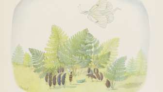 Ernst Kreidolf und der Kreislauf des Lebens