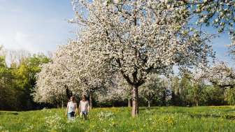 Fäschtlatschi Spengler