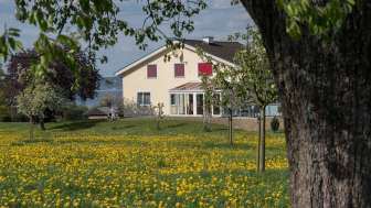 Hof Seealp Hof Seealp