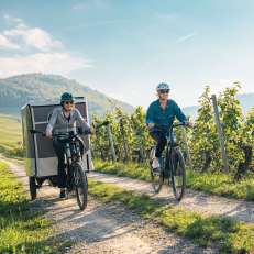 2024, Schaffhausen, Schweiz Tourismus, Thurgau