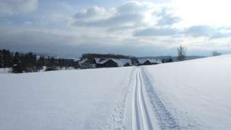 Langlauf (Ski nordisch) im Thurgau