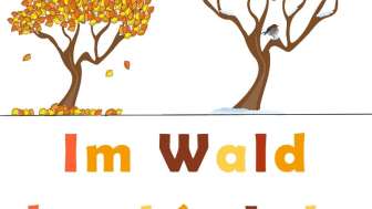 Logo im Wald durchs Jahr Herbst Winter