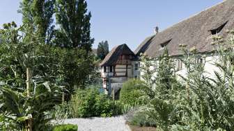 Andrea Helbling: Der Klostergarten