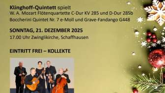 Screenshot 2025 12 12 132616