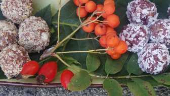 Energiebällchen , herbst Kopie 2