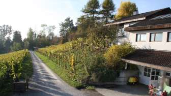 Weingut Wolfer Weingut Wolfer