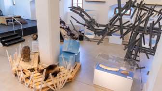 Mammuts an der Thur?