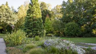 Botanischer Garten