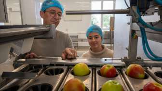 Steinebrunn Öpfelfarm Produktion