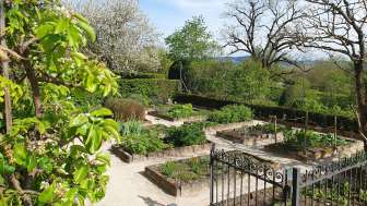 02 Heilkräuter Garten April Was wir bitter nötig haben
