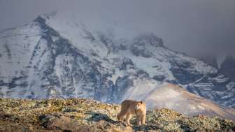 Patagonien - Explora Live Show