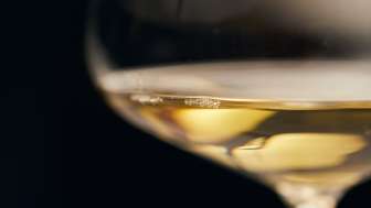 100 Jahre Müller-Thurgau Wein Schmugglerfahrt 100 Jahre Müller-Thurgau Wein Schmugglerfahrt