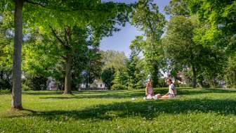 Stadtpark Arbon Stadtpark Arbon