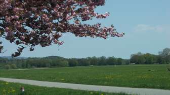 Allmend Frauenfeld