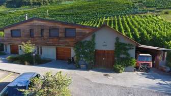Ansicht Remise und Weinberg