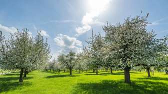 Ferienwohnung Eich-Hof