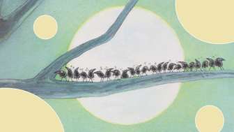 Mittwochsgeschichten Flyer 2025 ohne Schrift