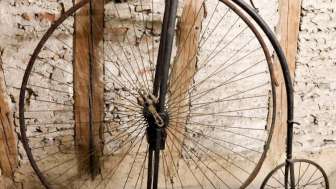 Öffentliche Führung